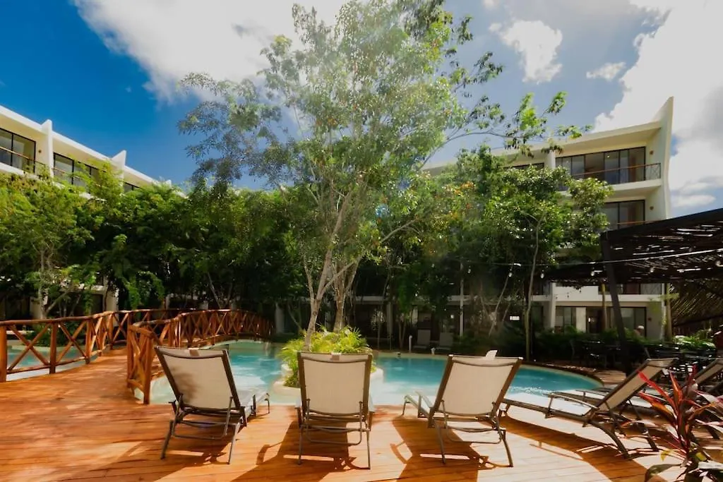 Apartamento Near Beach+Jungle Views. King Bed+220 Megs+2 Bikes Tulum