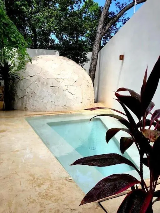 Near Beach+Jungle Views. King Bed+220 Megs+2 Bikes Tulum México
