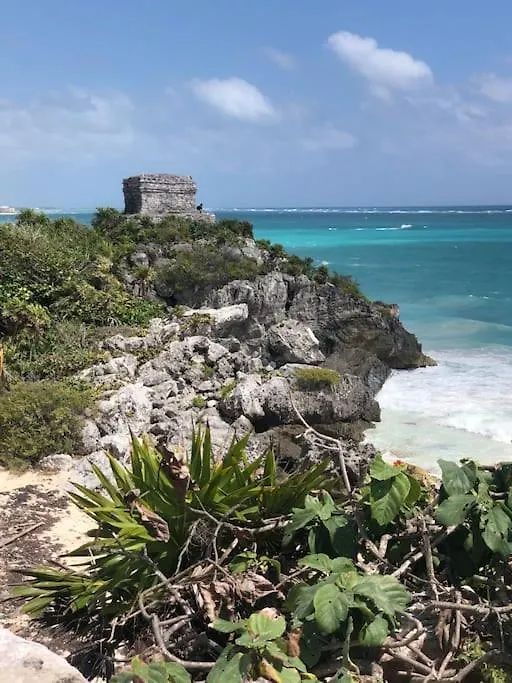 Near Beach+Jungle Views. King Bed+220 Megs+2 Bikes Tulum 0*,  México